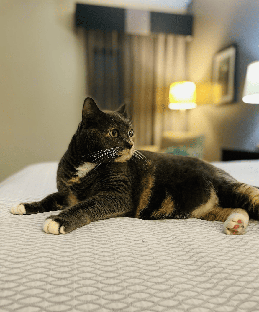 La Quinta Inn & Suites by Wyndham Billings_b_ennyki