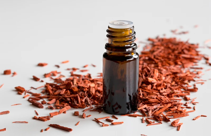 Is Sandalwood Safe for Cats? Vet-Reviewed Risks & Treatment