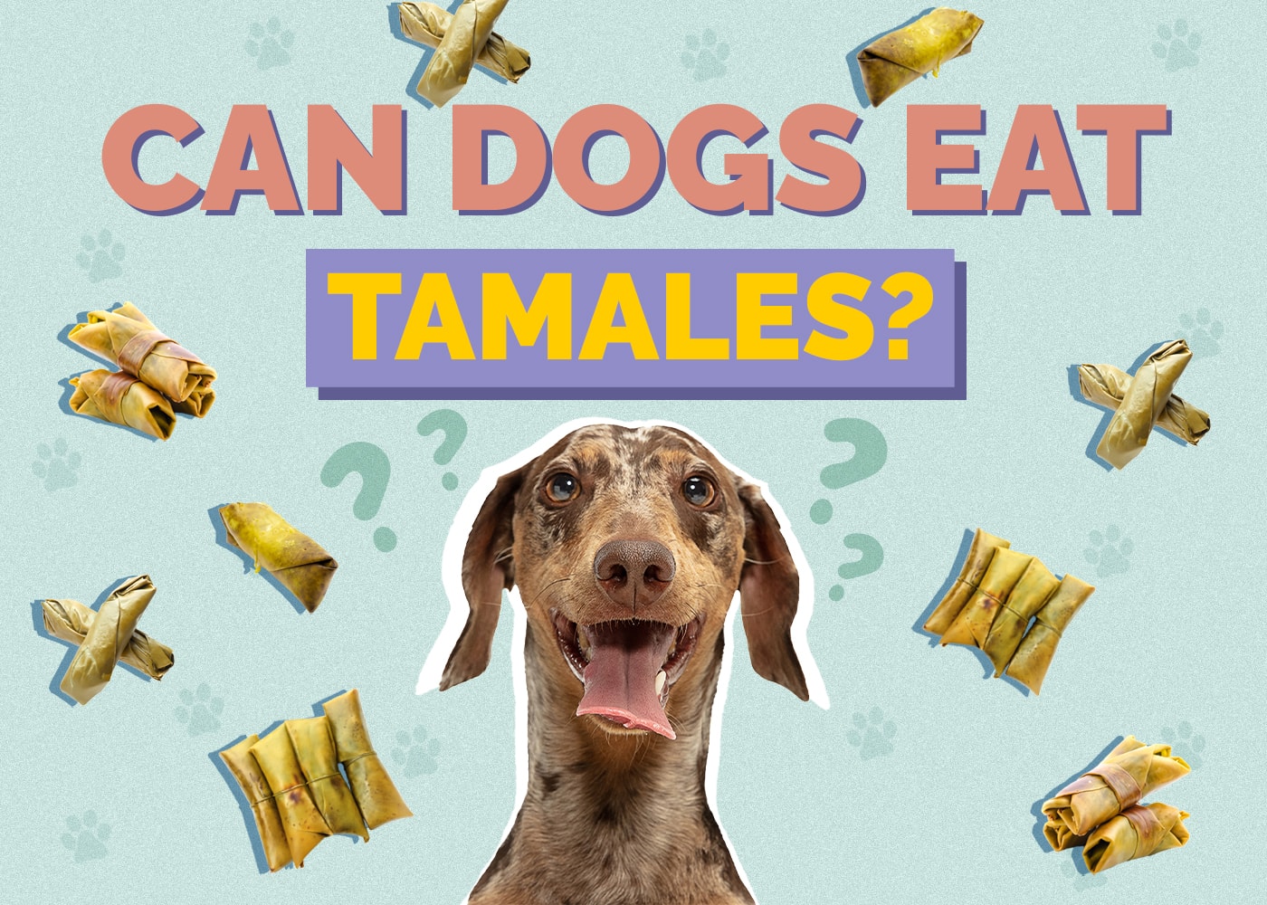 Can Dogs Eat Tamales? What the Science Says