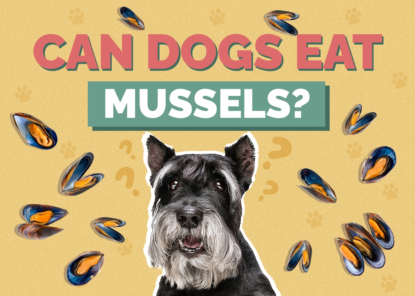 Can Dogs Eat Mussels? Vet-Approved Facts & FAQ