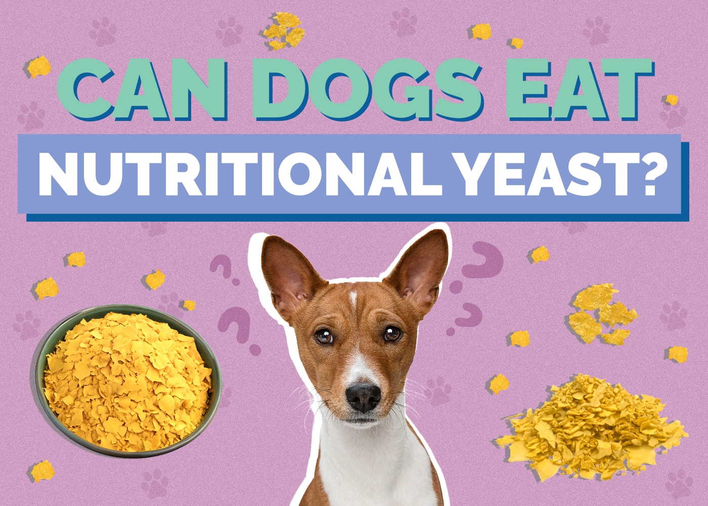 Can Dogs Eat Nutritional Yeast? How Healthy Is It?