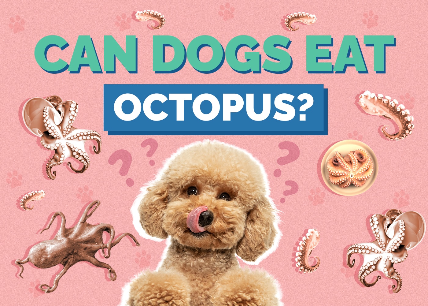 Can Dogs Eat Octopus? Vet Reviewed Facts & FAQ