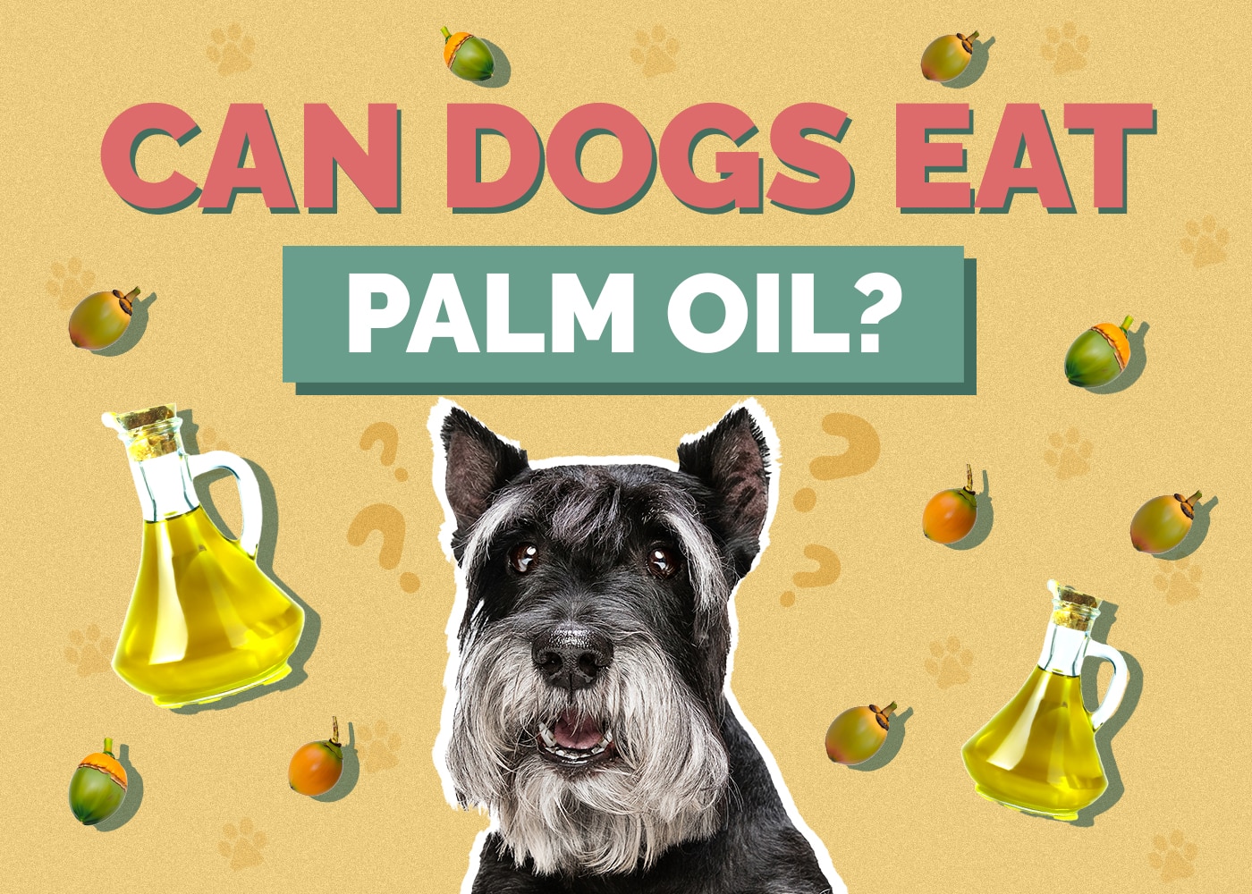 Can Dogs Eat Palm Oil? Vet Reviewed Facts & FAQ