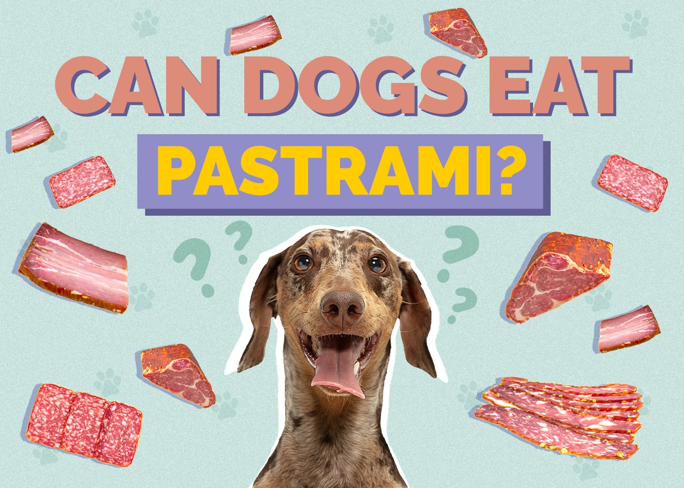 Can Dogs Eat Pastrami? How Healthy Is It?