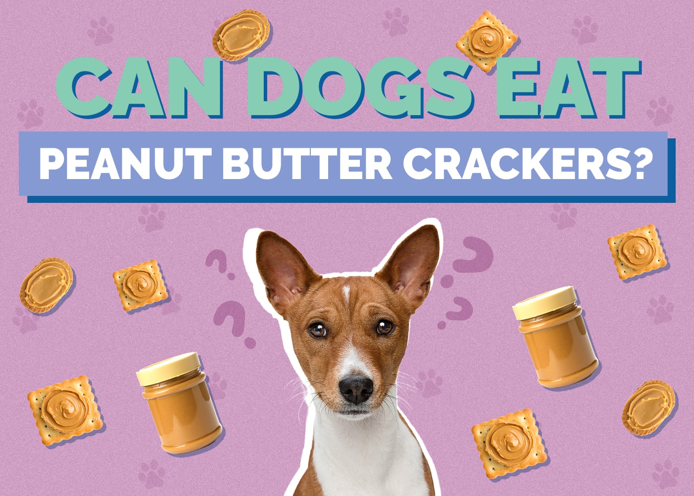 Can Dogs Eat Peanut Butter Crackers? Vet-Reviewed Dietary Guidance