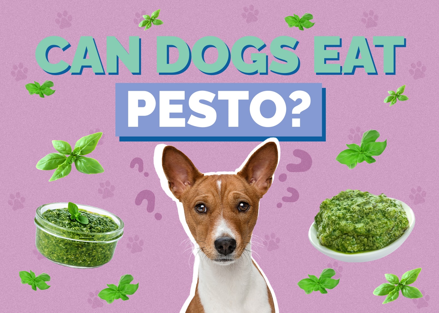 Can Dogs Eat Pesto? Vet Reviewed Facts & FAQ