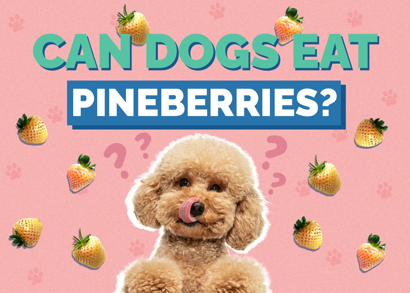 Can Dogs Eat Pineberries? Vet Approved Facts & FAQ