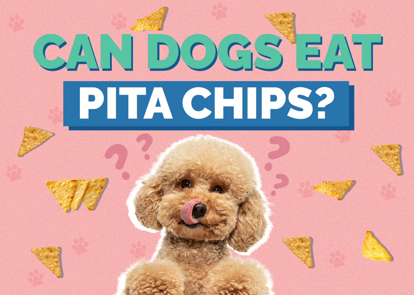 Can Dogs Eat Pita Chips? Vet-Approved Health Review