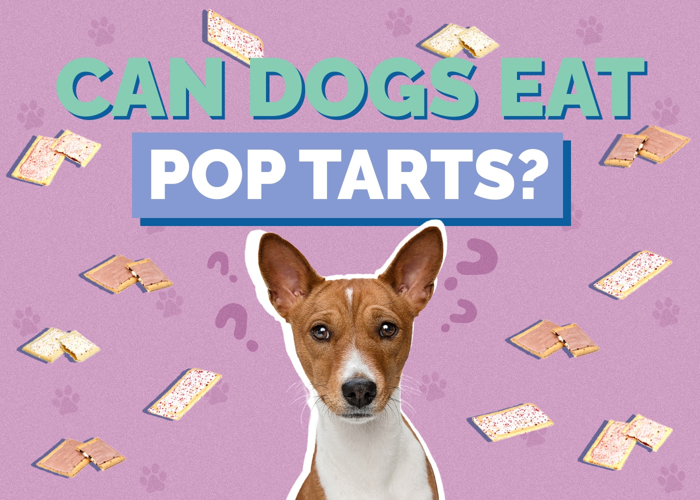 Can Dogs Eat Pop Tarts? Vet Reviewed Health & Nutrition Facts
