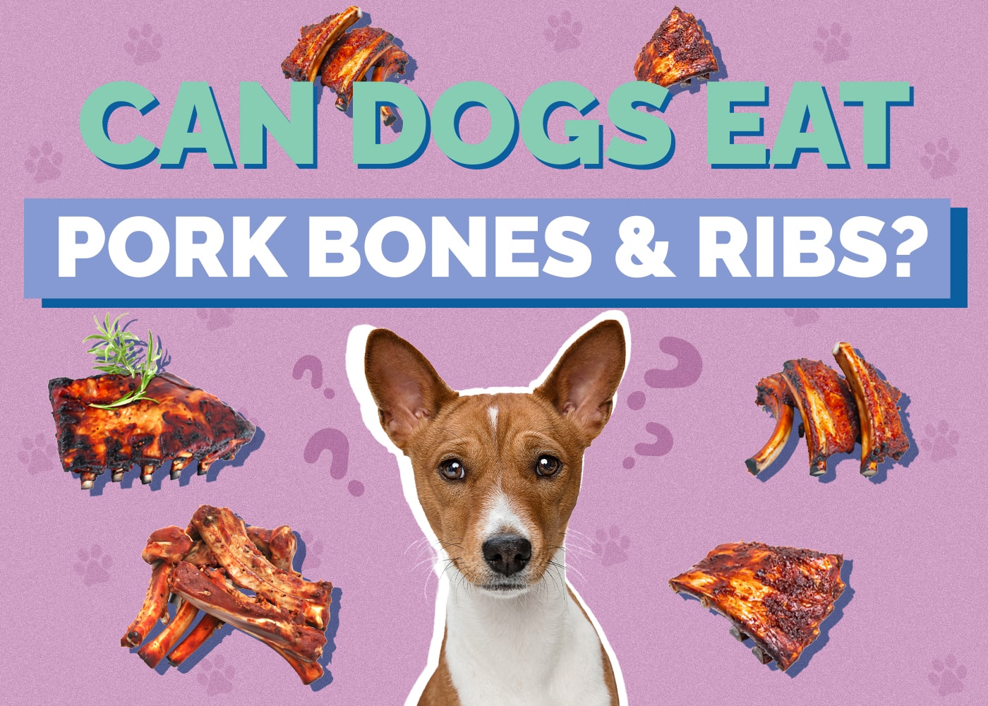 Can Dogs Eat Pork Bones & Ribs? Vet Reviewed Facts & Safety Guide