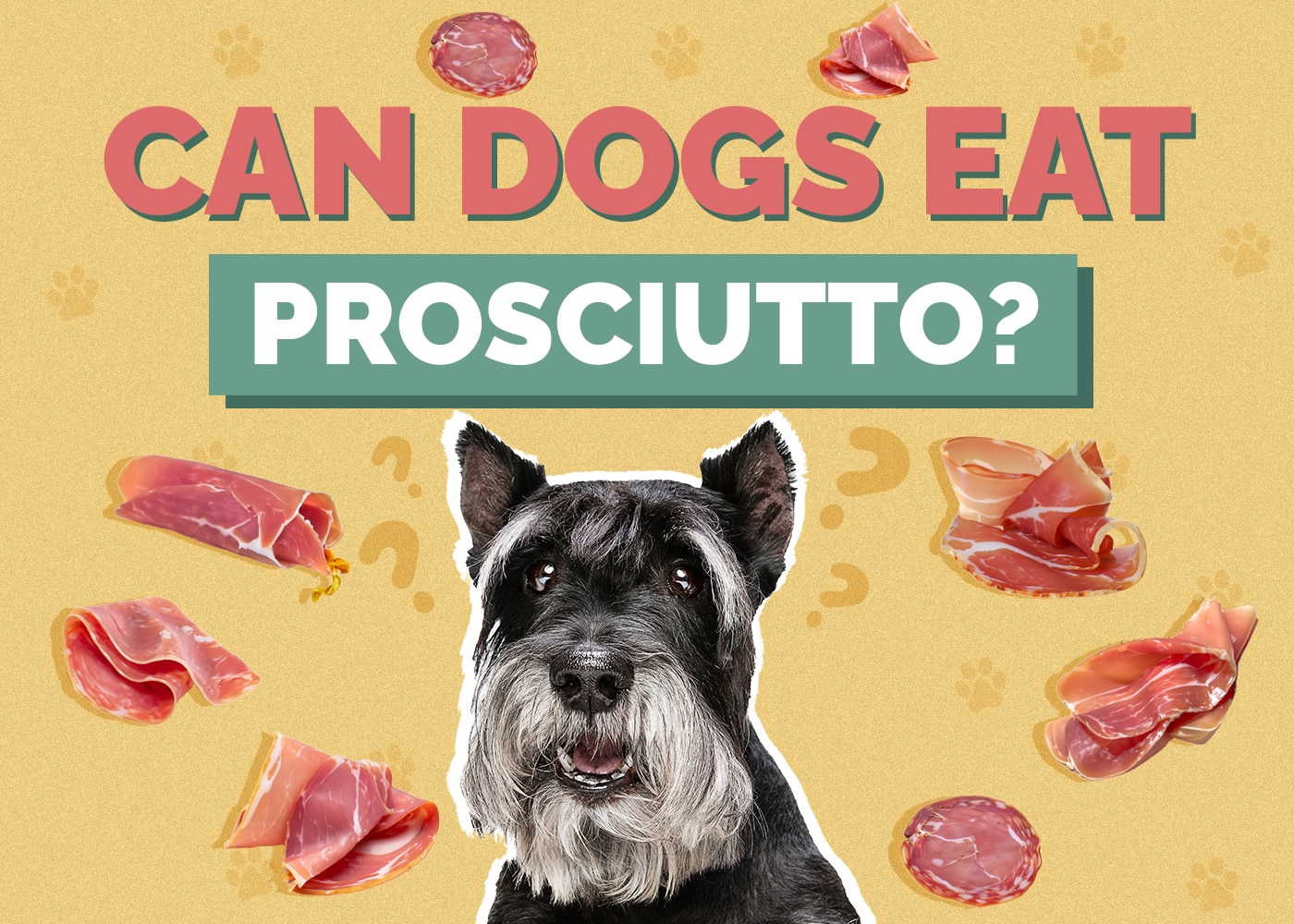 Can Dogs Eat Prosciutto? Vet Reviewed Facts & FAQ