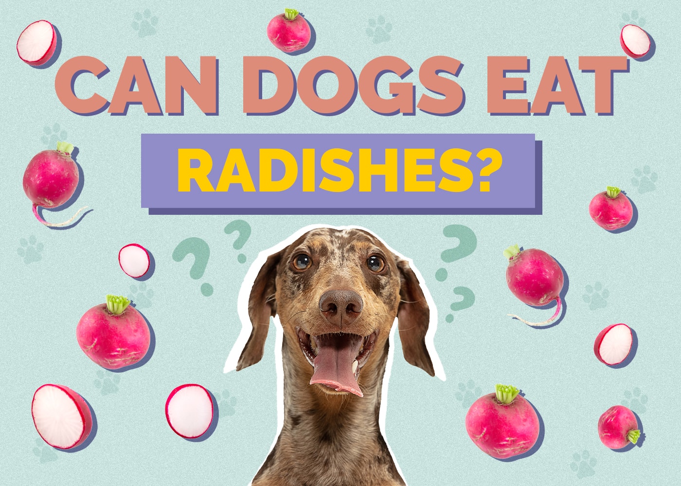 Can Dogs Eat Radishes? Vet-Reviewed Facts & Suggestions