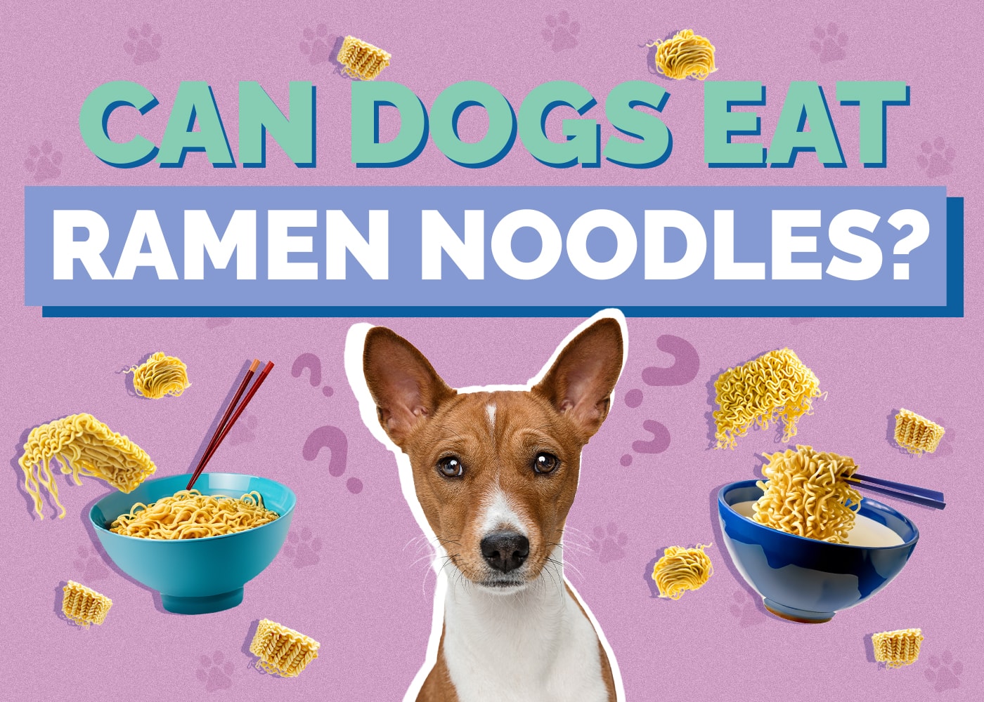 Can Dogs Eat Ramen Noodles? Vet Reviewed Facts