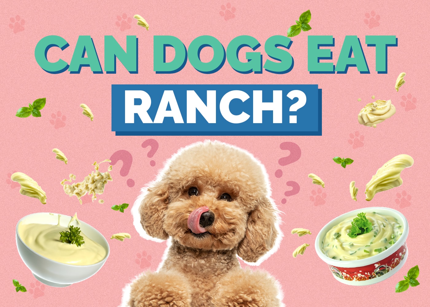 Can Dogs Eat Ranch? Hidden Ingredients That Can Harm Your Pet!
