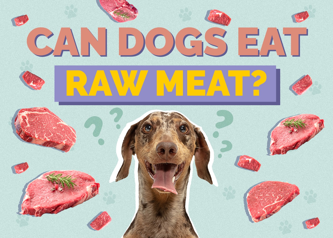 Can Dogs Eat Raw Meat? Vet Reviewed Risks & Benefits