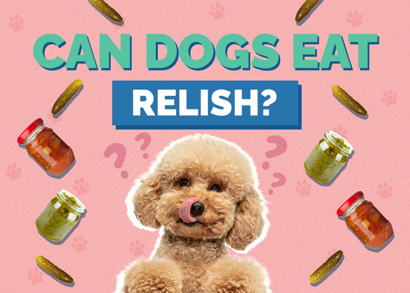 Can Dogs Eat Relish? Vet Approved Risks & FAQ