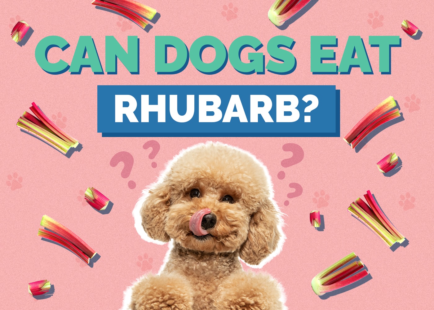 Can Dogs Have Rhubarb? Vet-Reviewed Facts & Safety Guide