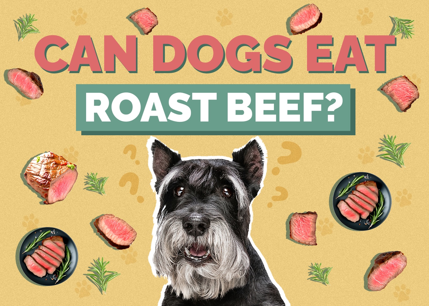 Can Dogs Eat Roast Beef? (Vet Reviewed Facts)