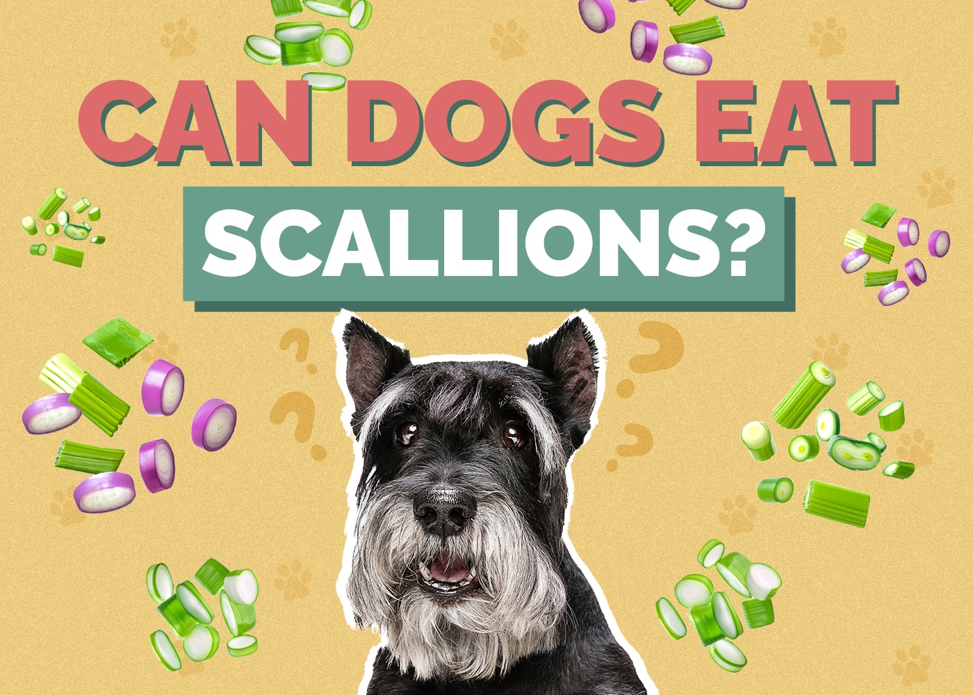 Can Dogs Eat Scallions? Vet Reviewed Health & Safety Facts