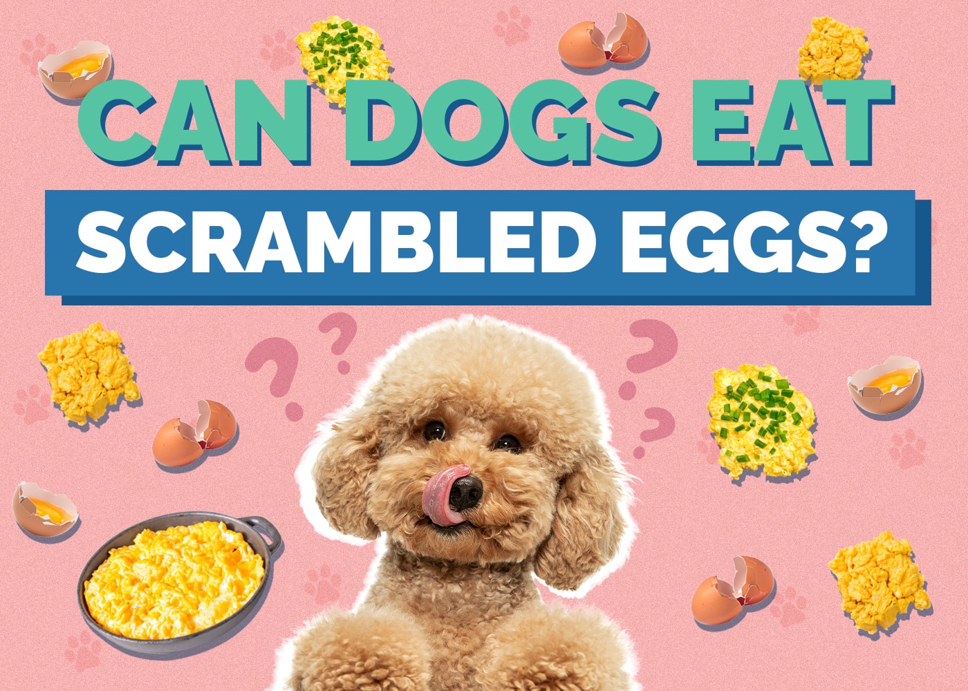 Can Dogs Eat Scrambled Eggs? Vet-Verified Nutrition Facts & Safety Guide