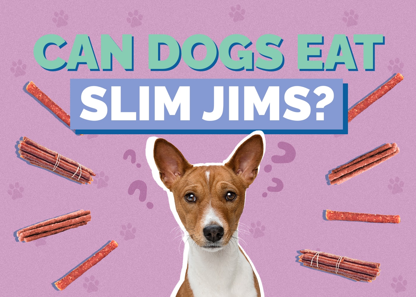 Can Dogs Eat Slim Jims? (Vet Reviewed Facts & FAQ)