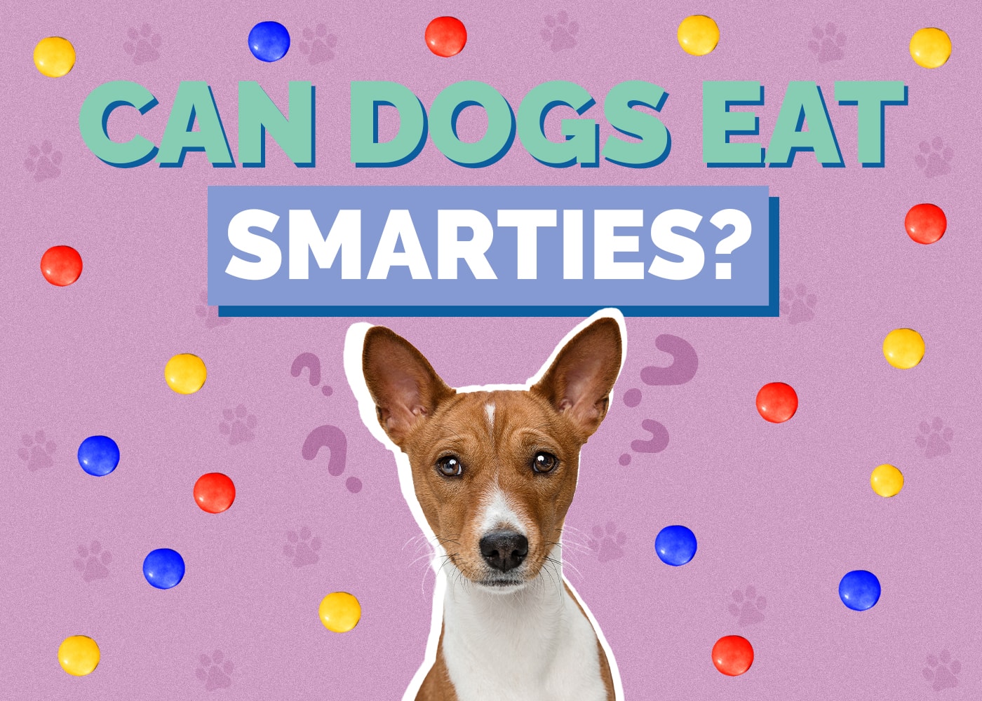 Can Dogs Eat Smarties? The Surprising Answer!