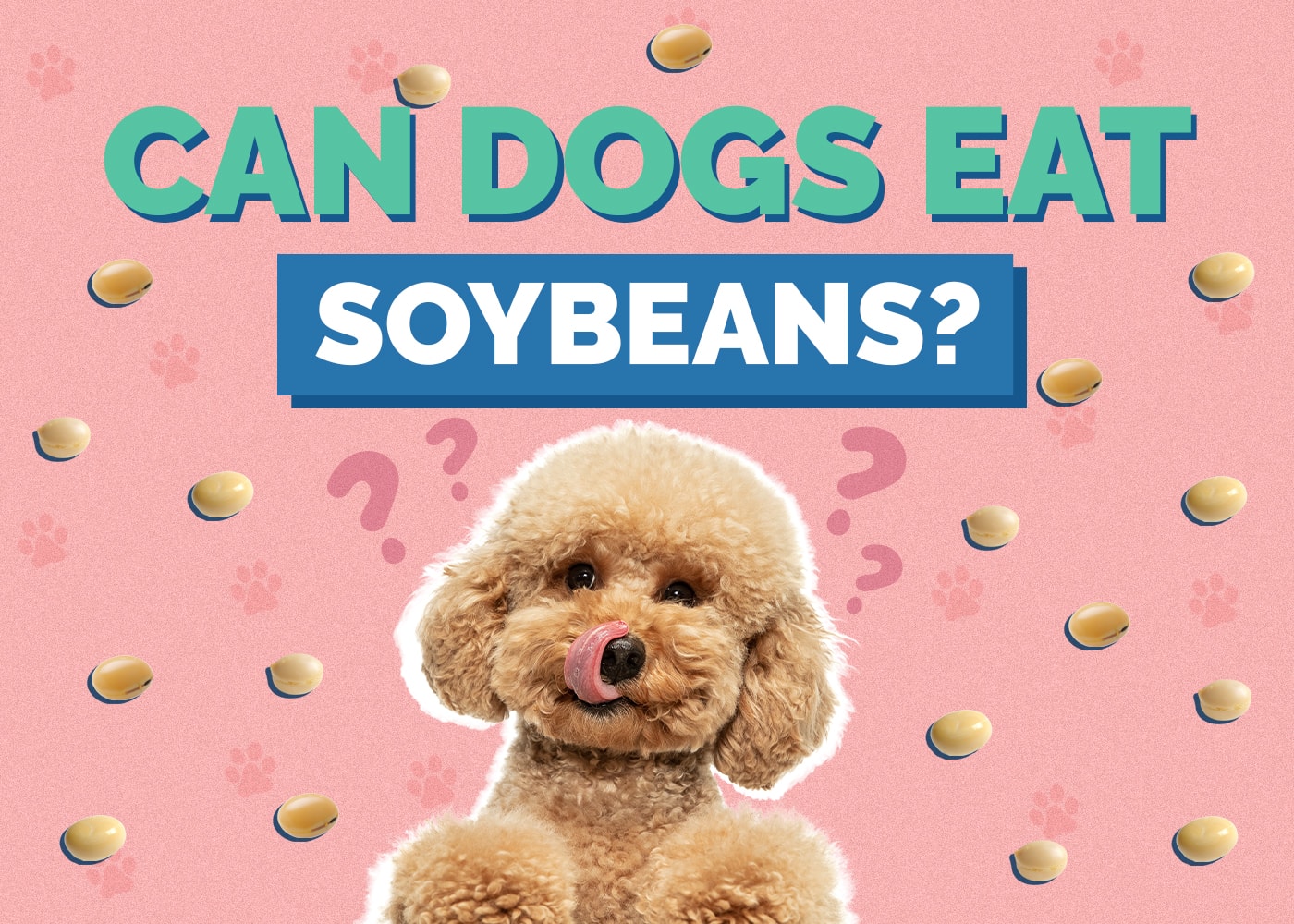 Can Dogs Eat Soybeans? Vet Approved Advice