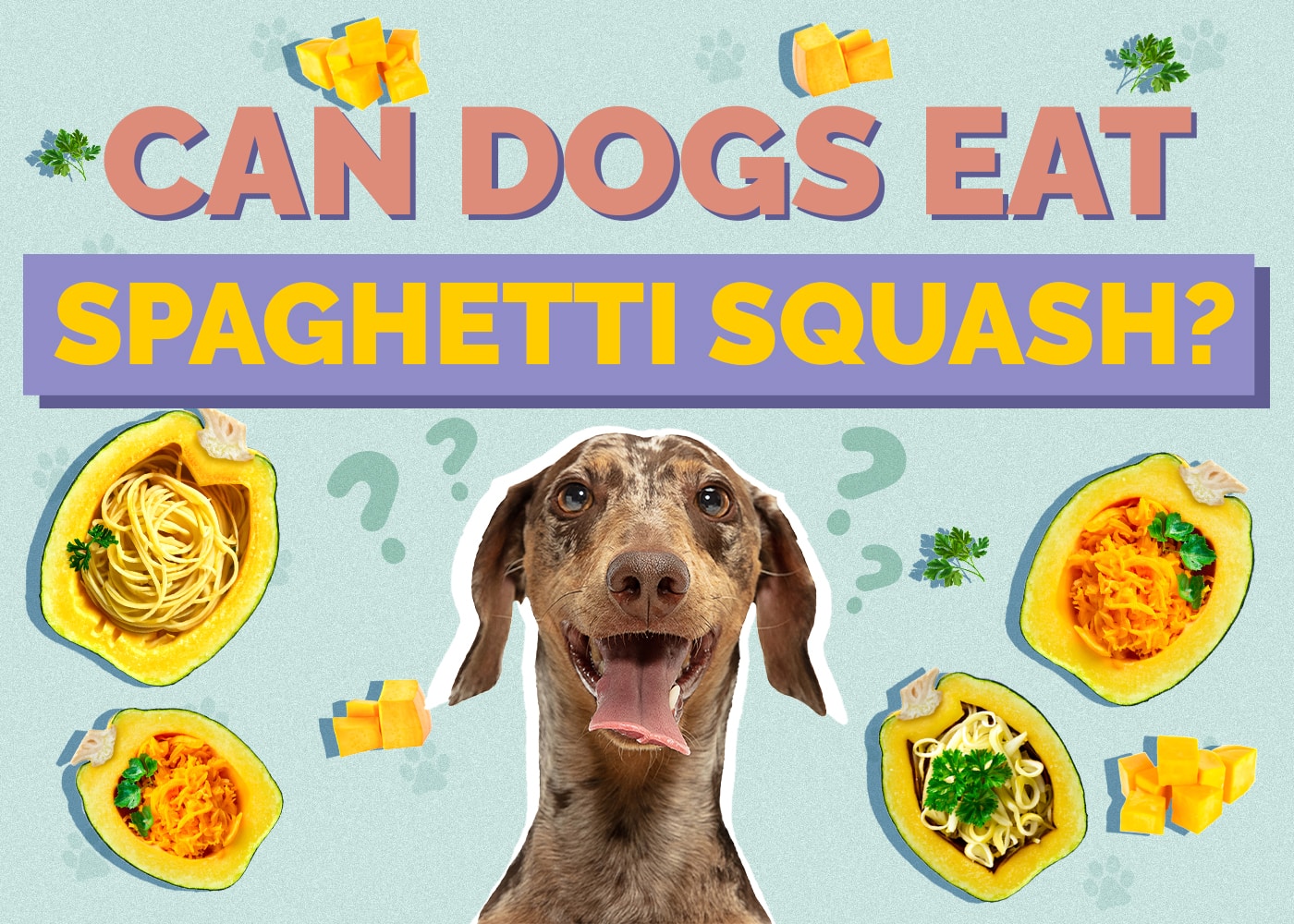 Can Dogs Eat Spaghetti Squash? Vet Approved Facts & FAQ
