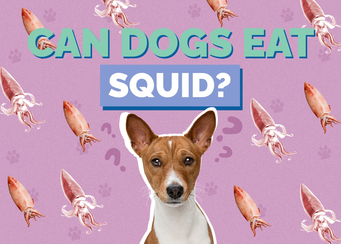 Can Dogs Eat Squid? (Vet-Reviewed Facts & FAQ)