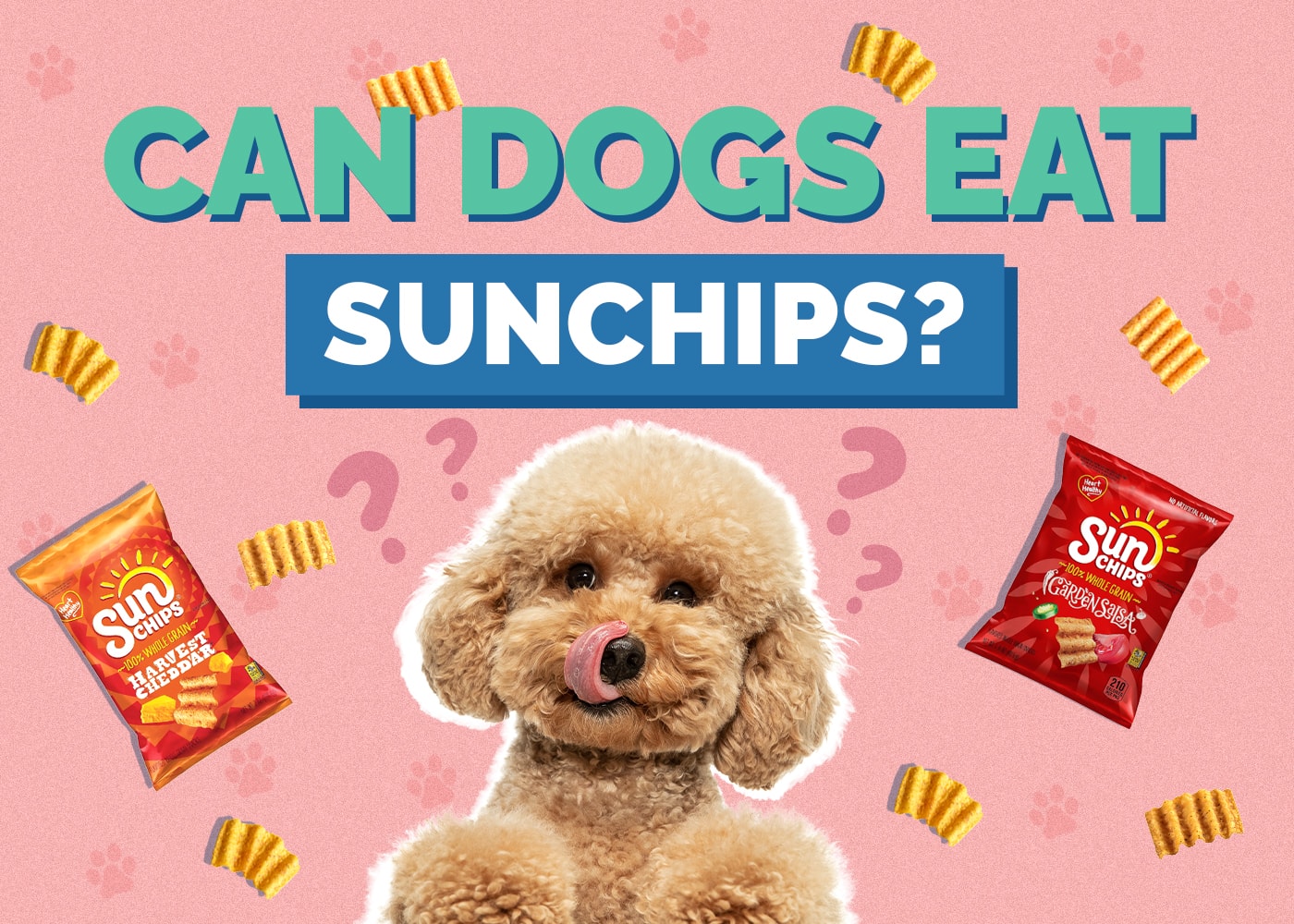 Can Dogs Eat SunChips? Vet Reviewed Facts & FAQ