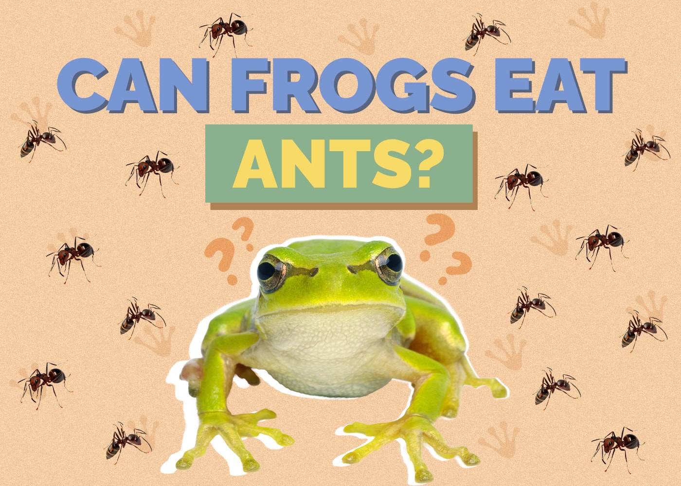 Can Frogs Eat Ants? Vet Approved Facts & FAQ