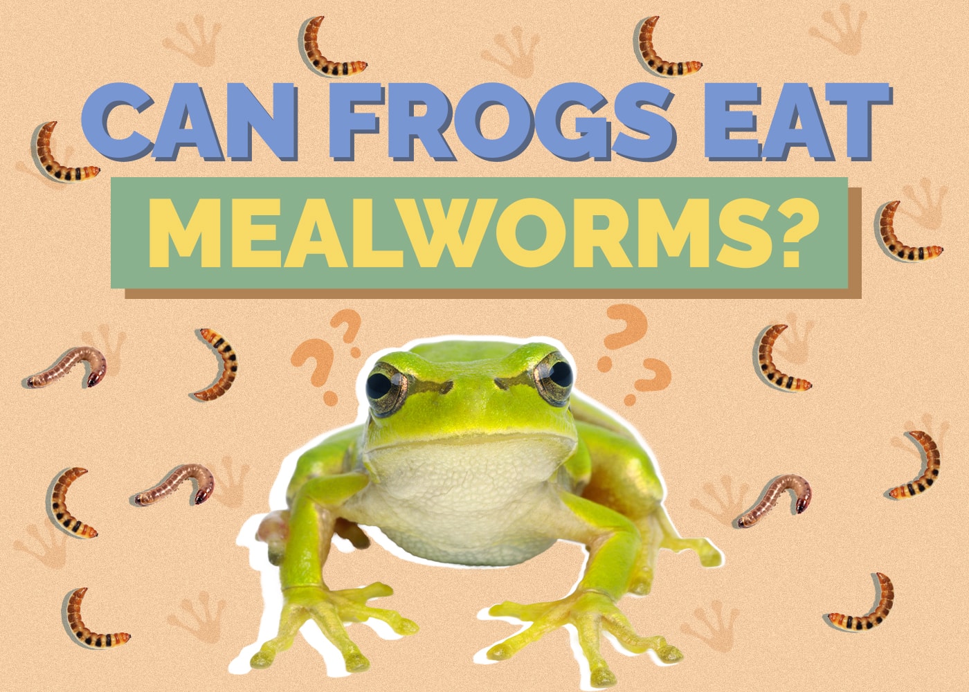 Can Frogs Eat Mealworms? Vet-Approved Nutrition Guidelines