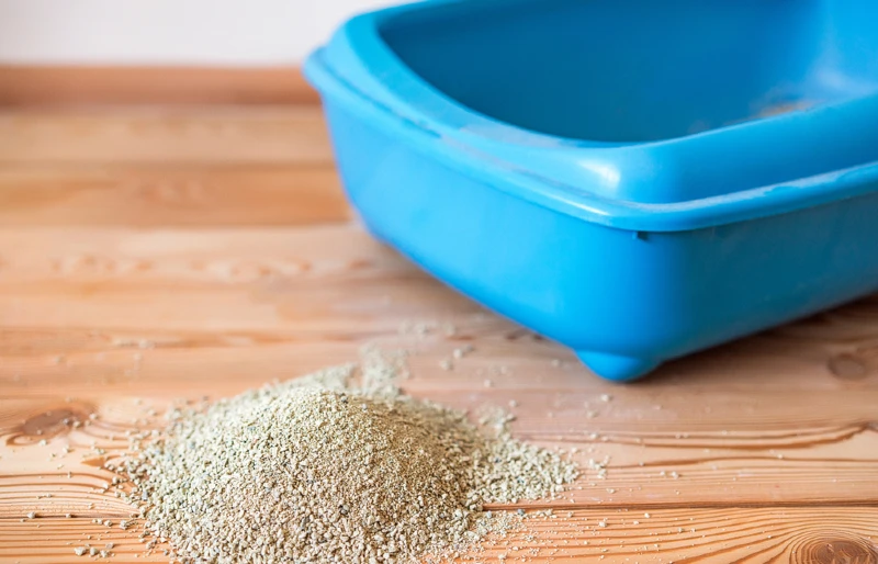 Is Cat Litter Flammable? Dangers & Things to Be Aware Of