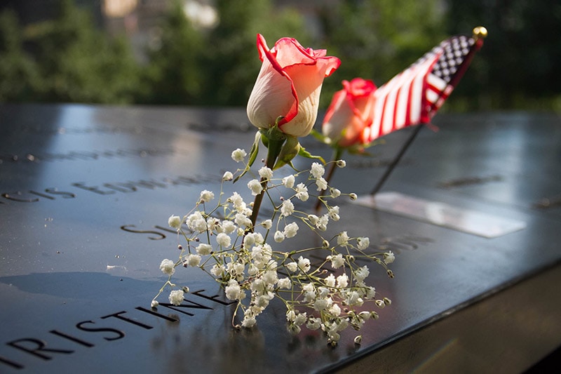 Hero Dogs Of 9/11: Remembered More Than 20 Years On