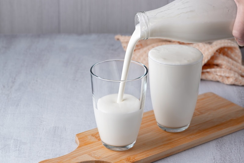Can Dogs Have Buttermilk? Vet-Reviewed Risks & Feeding Tips