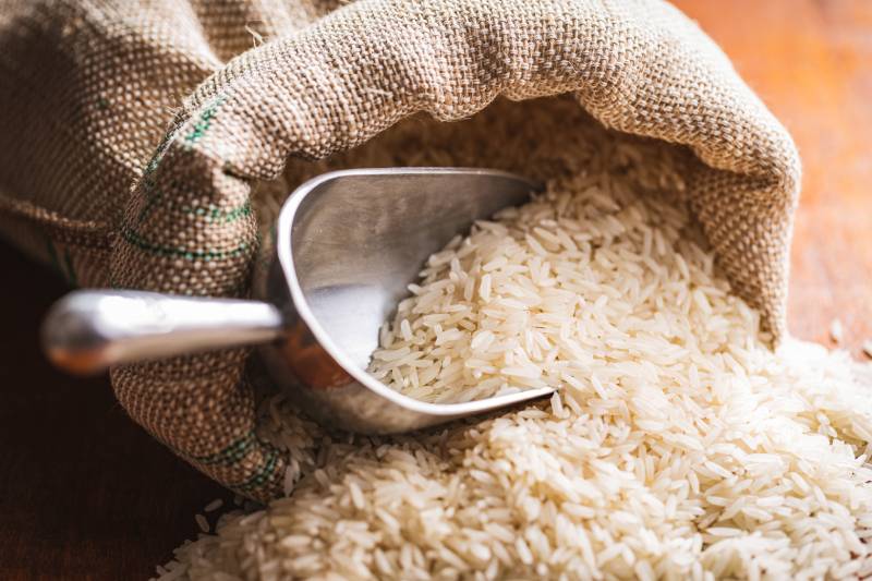 Can I Use Rice as Cat Litter? Vet-Reviewed Pros, Cons and Alternatives