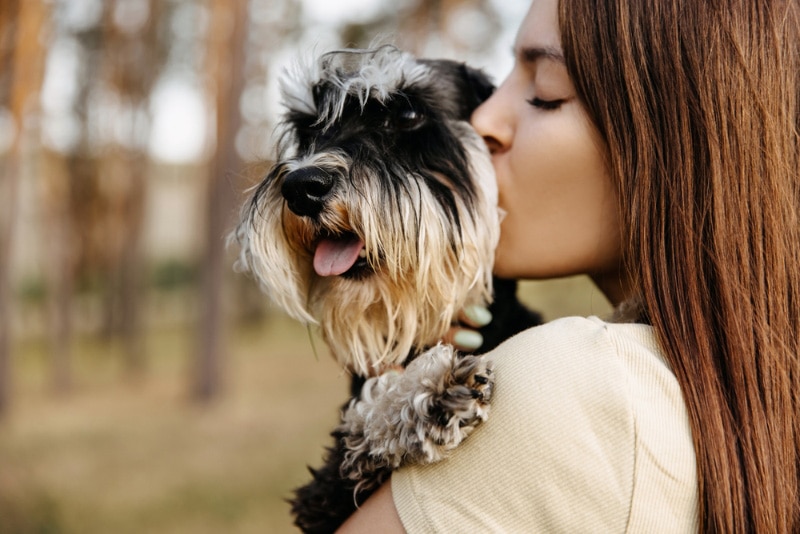 National Schnauzer Day 2026: When & What It Is