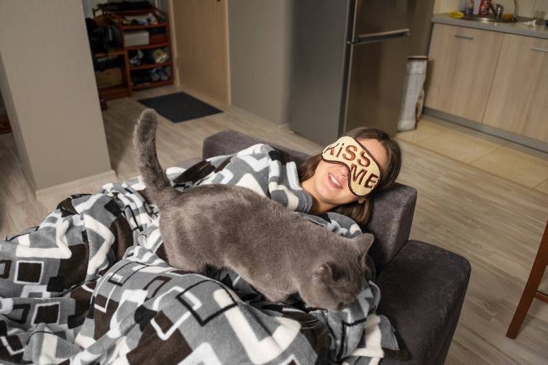 Why Does My Cat Walk On Me? 5 Possible Reasons