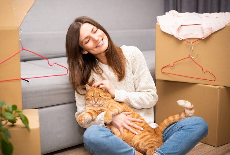 How to Make Moving Houses With a Cat Easy: 11 Vet-Approved Tips for a Seamless Transition
