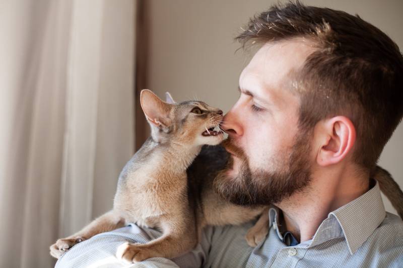 Why Does My Cat Bite My Nose? 6 Possible Reasons