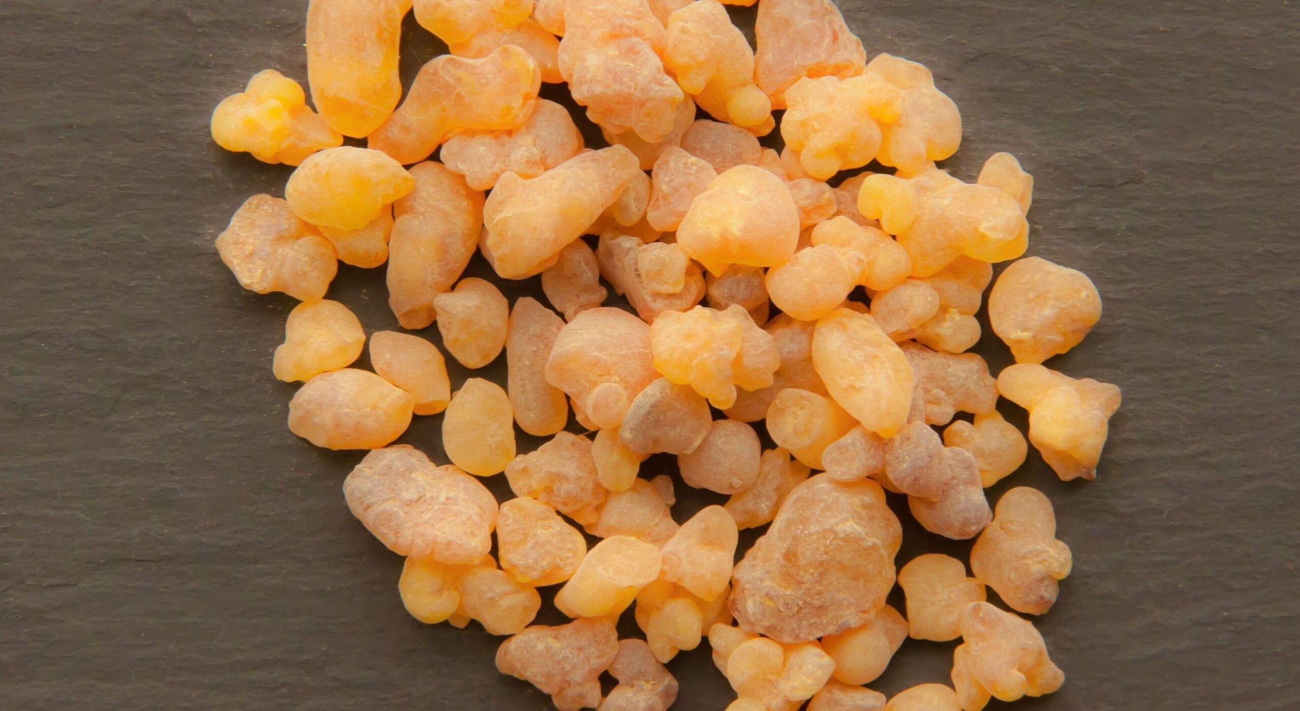 Is Frankincense Safe for Cats? Vet Approved Facts