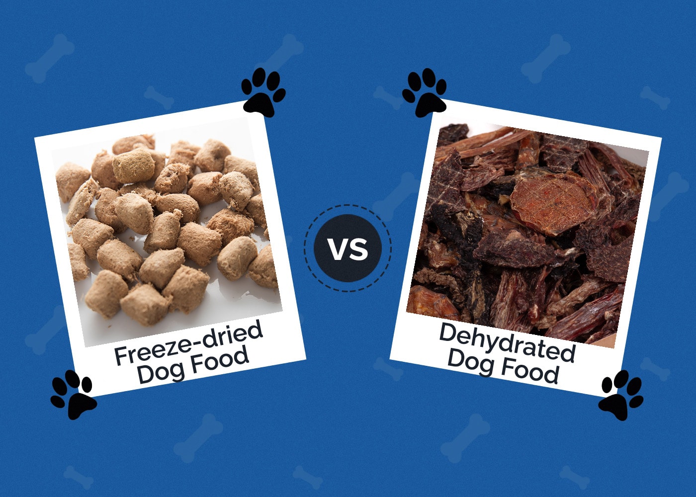 Freeze-Dried vs. Dehydrated Dog Food: Vet-Reviewed Differences, Pros & Cons