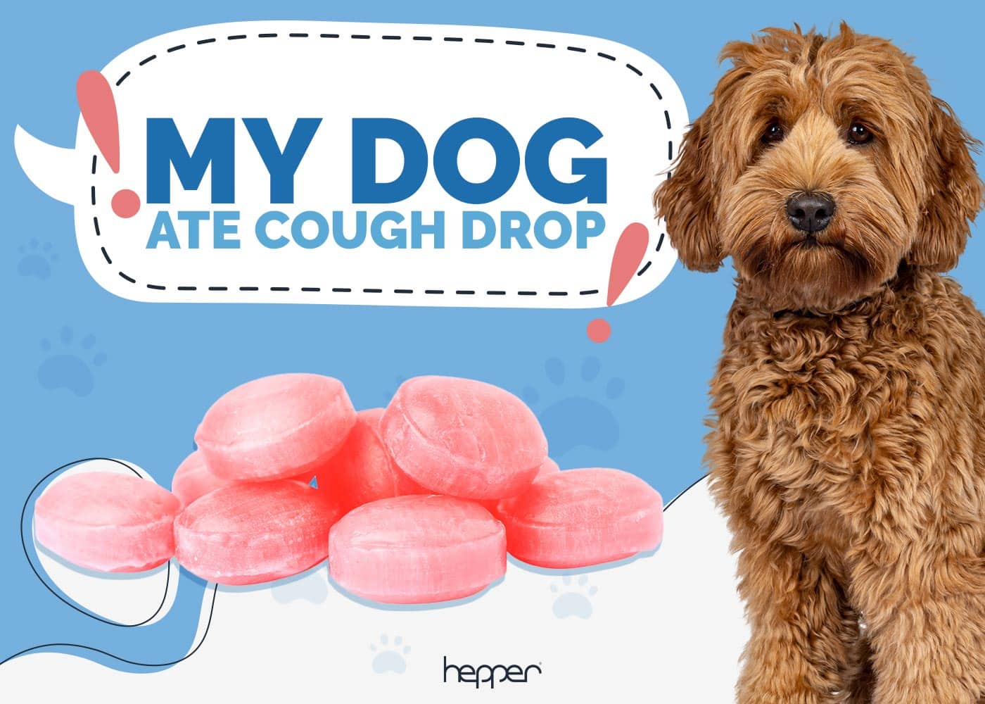 My Dog Ate a Cough Drop