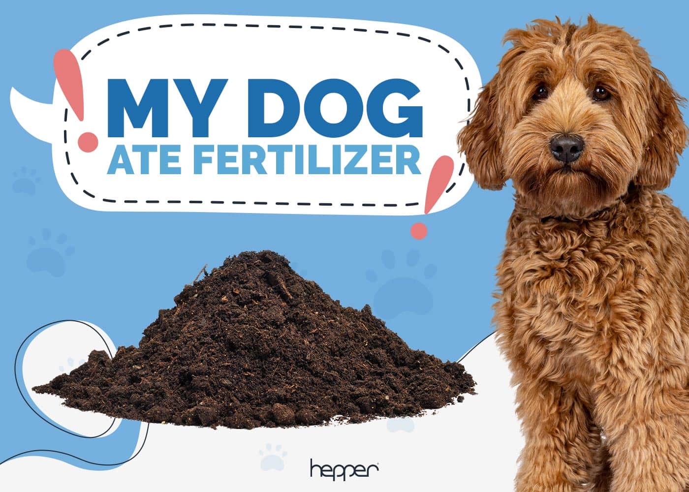 Help! My Dog Ate Fertilizer! Our Vet Explains What to Do Now