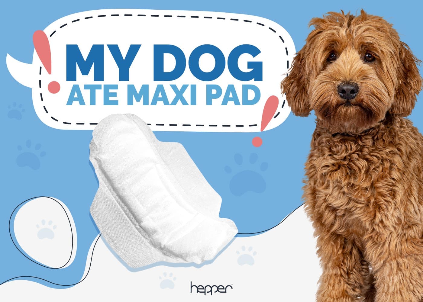 My Dog Ate a Maxi-Pad