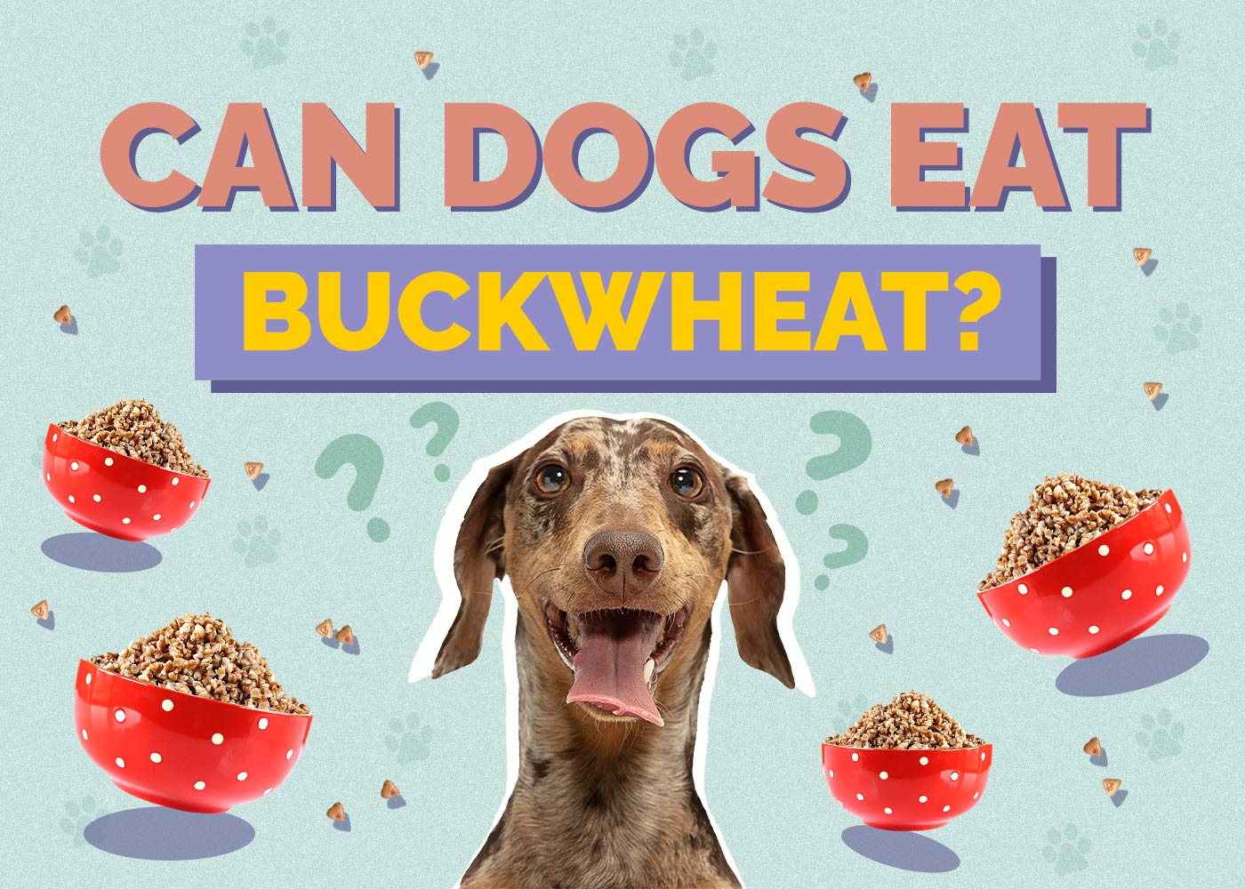 Can Dogs Eat Buckwheat? Vet-Reviewed Facts & FAQ