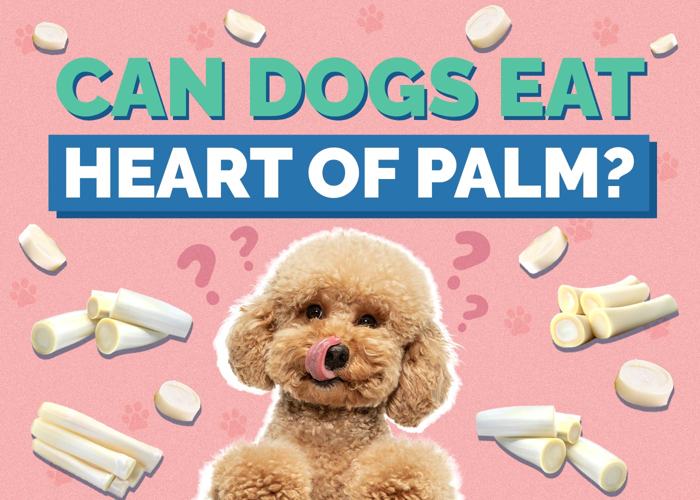 Can Dogs Eat Hearts of Palm? Vet Reviewed Facts & Safety Guide