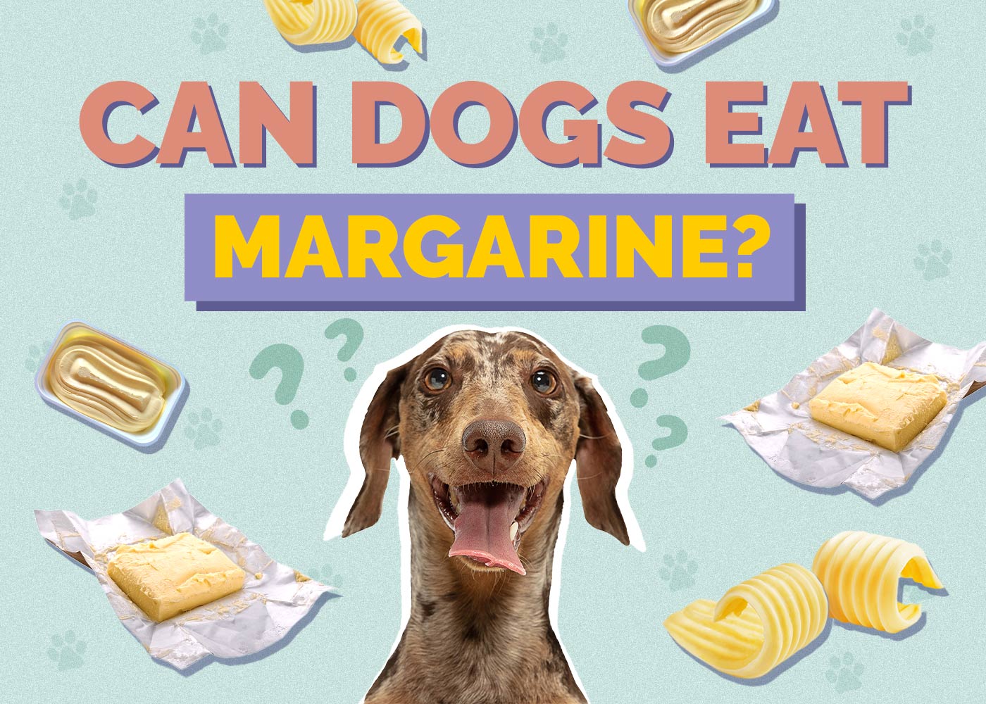 Can Dogs Eat Margarine? Vet Approved Facts & FAQ