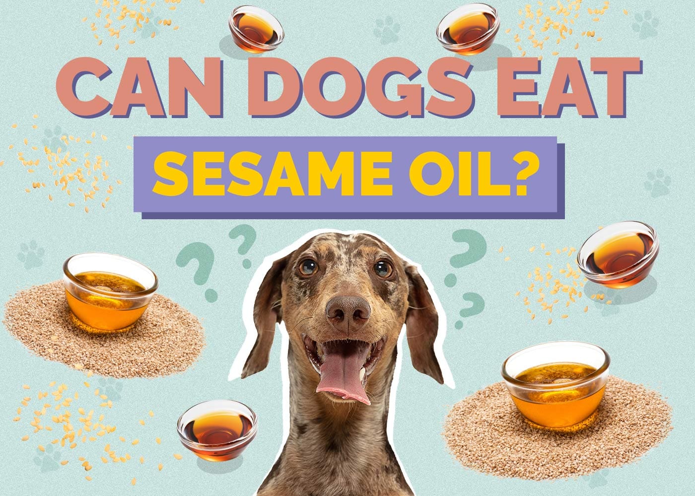 Can Dogs Eat Sesame Oil? Vet-Approved Health Facts