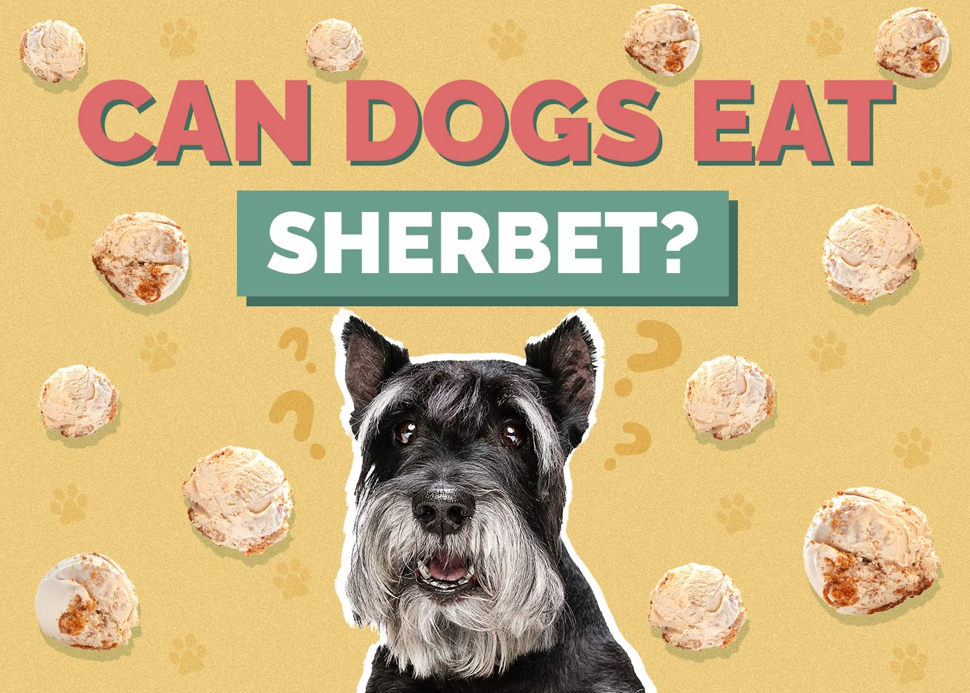 Can Dogs Eat Sherbet? Vet-Reviewed Health Facts